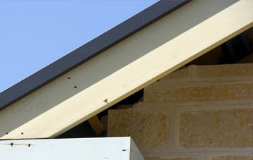 Effirth fascia repairs