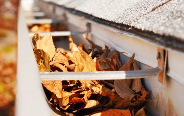 Effirth gutter cleaning companies