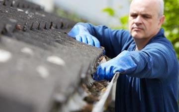 cleaning and inspecting Effirth roofs