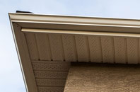 free Effirth fascia quotes