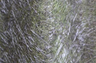 Effirth fibreglass roof work