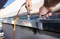 free Effirth fascia quotes